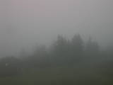 08 : 55