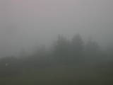 09 : 03