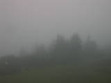 09 : 09