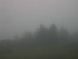 09 : 21