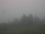 09 : 45