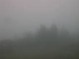10 : 45