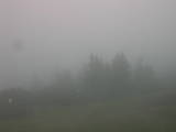 13 : 13
