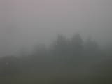 18 : 25