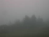 18 : 37