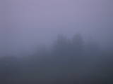 21 : 21