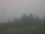 16 : 25