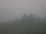 19 : 21