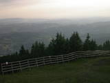 20 : 13