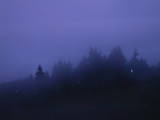 04 : 29