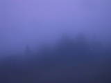 04 : 49