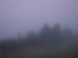 05 : 09
