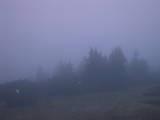 06 : 05