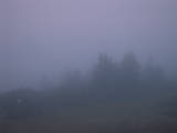06 : 33