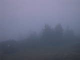06 : 37