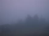 06 : 41