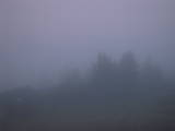 06 : 49