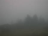 07 : 03