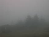 07 : 29