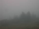 07 : 33