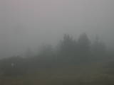 07 : 49