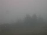 08 : 03