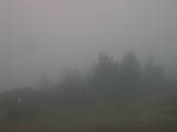 08 : 11