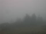 08 : 17