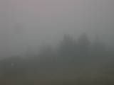 08 : 19