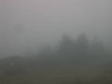 08 : 49