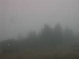 09 : 03