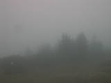 09 : 21