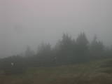 13 : 53