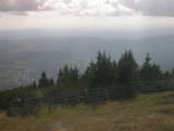 16 : 29