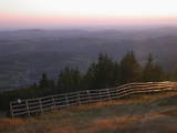 19 : 21