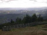 16 : 49