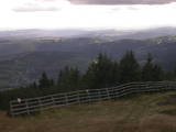 17 : 29