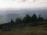 14 : 29