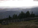 16 : 49