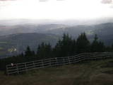 16 : 53