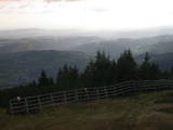 17 : 29