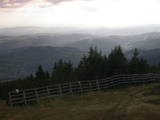 17 : 33