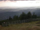 17 : 53
