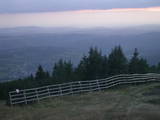 19 : 49