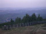 05 : 49