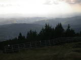 15 : 29