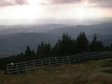 16 : 25