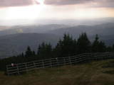 16 : 29