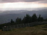 16 : 33