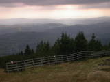 16 : 41